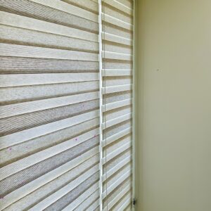 Zebra Blinds